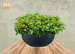 Không thấm nước Fiberclay Pot Planter Clay Flower Pots Trắng Đen Xám Màu Tròn Trồng ngoài trời