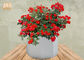 Frosted Clay Plant Pots Homewares Vật phẩm trang trí Hoa hình học Chậu hoa Vườn chậu Màu trắng
