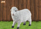 Kích thước cuộc sống Màu trắng Polyresin Động vật Bức tượng nhỏ Dolly Sheep Điêu khắc Vườn Trang trí