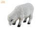 Trong nhà White Polyresin Dolly Sheep Tượng Động vật Bức tượng điêu khắc sàn Trang trí